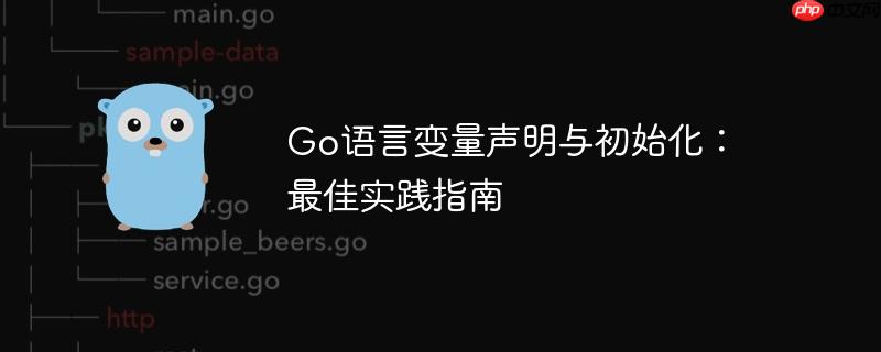 go语言变量声明与初始化:最佳实践指南
