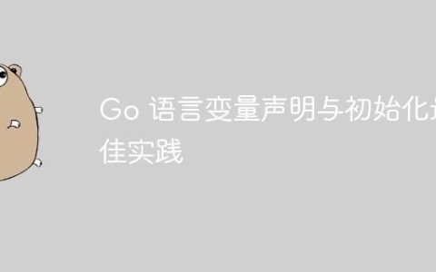 Go 语言变量声明与初始化最佳实践