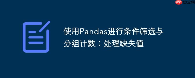 使用pandas进行条件筛选与分组计数:处理缺失值