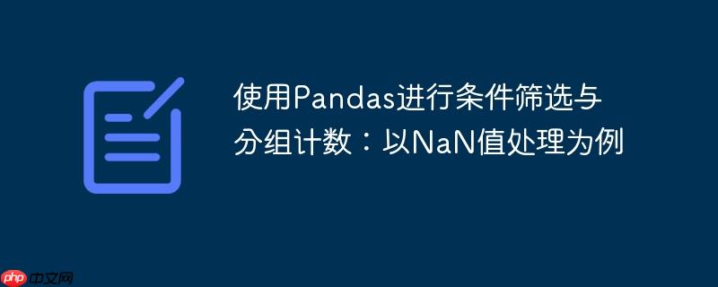 使用Pandas进行条件筛选与分组计数：以NaN值处理为例