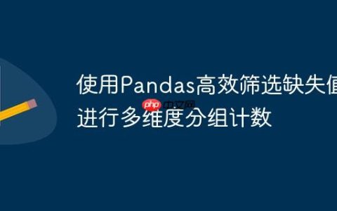 使用Pandas高效筛选缺失值并进行多维度分组计数