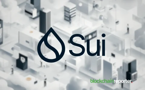 SUI、以太坊、未来潜力：解码加密货币格局
