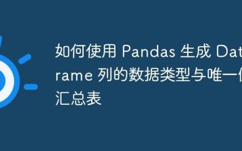 如何使用 Pandas 生成 DataFrame 列的数据类型与唯一值汇总表