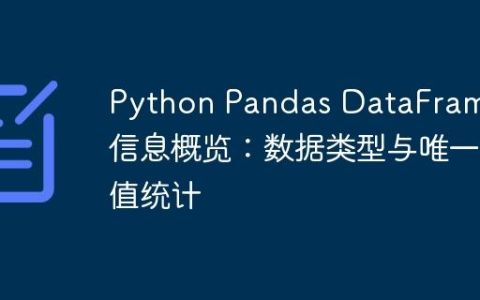 Python Pandas DataFrame列信息概览：数据类型与唯一值统计