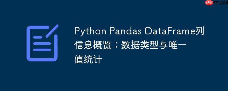 Python Pandas DataFrame列信息概览:数据类型与唯一值统计