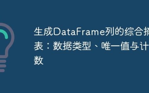 生成DataFrame列的综合摘要表：数据类型、唯一值与计数