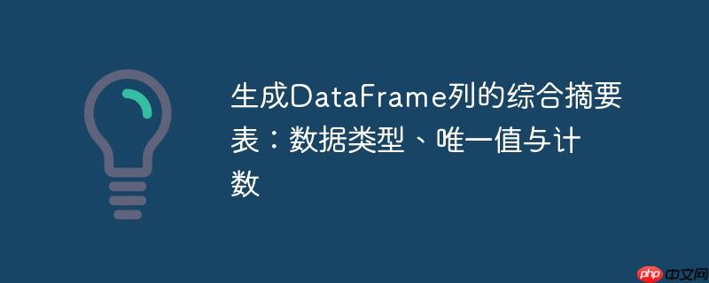 生成DataFrame列的综合摘要表:数据类型、唯一值与计数