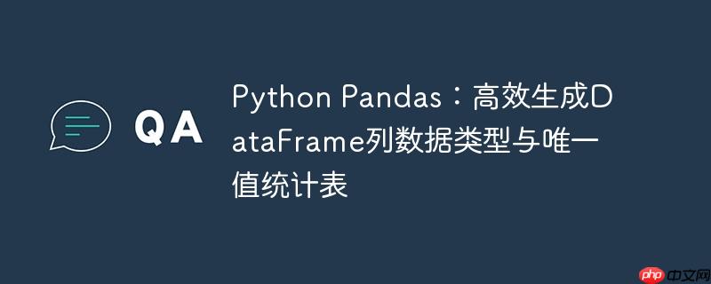 python pandas:高效生成dataframe列数据类型与唯一值统计表