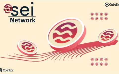 SEI币是否具备长期投资价值？深度解读