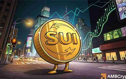 SUI 支持激增：乘风破浪还是面临灭顶之灾？