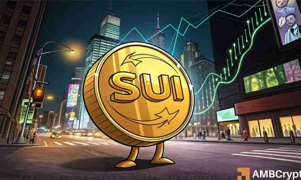 SUI 支持激增:乘风破浪还是面临灭顶之灾?