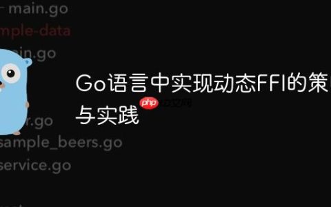 Go语言中实现动态FFI的策略与实践