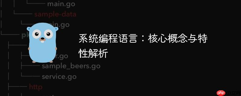 系统编程语言:核心概念与特性解析