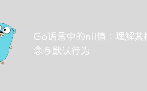 Go语言中的nil值：理解其概念与默认行为