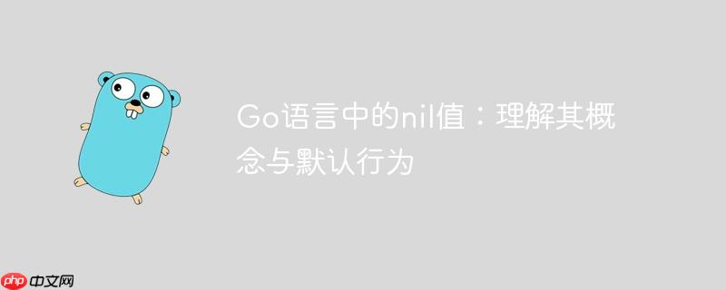 Go语言中的nil值:理解其概念与默认行为