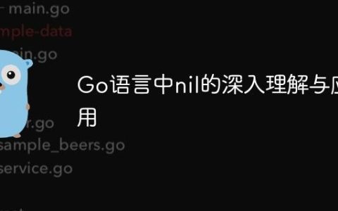 Go语言中nil的深入理解与应用