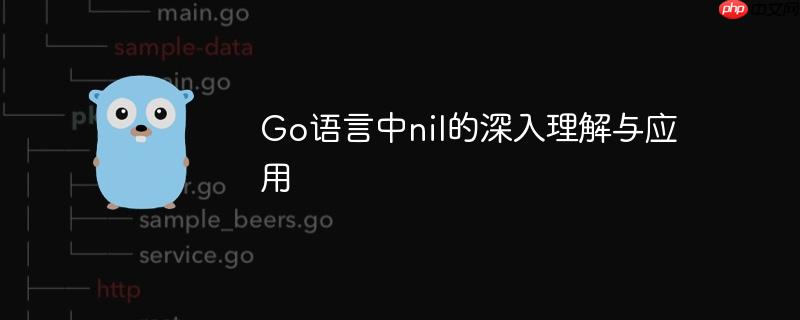 Go语言中nil的深入理解与应用