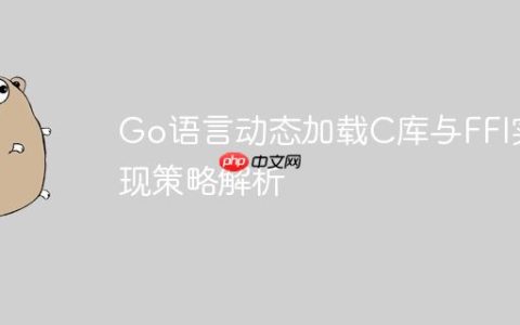 Go语言动态加载C库与FFI实现策略解析