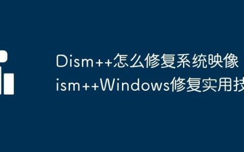 Dism++怎么修复系统映像 Dism++Windows修复实用技巧