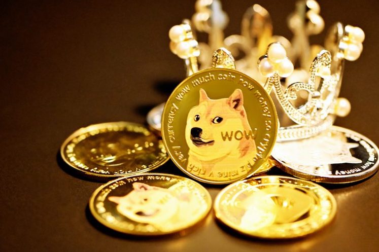 DOGE币价能涨多高?2025年狗狗币达到0.5美元的概率有多大? - 创想鸟