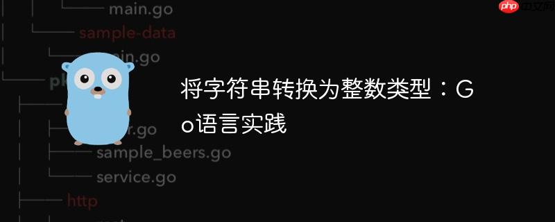 将字符串转换为整数类型:go语言实践