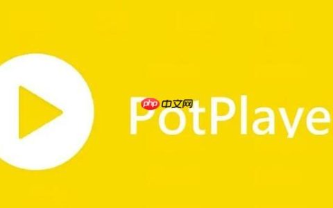 PotPlayer播放器如何启用10bit输出 PotPlayer高色深显示设置