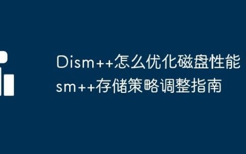 Dism++怎么优化磁盘性能 Dism++存储策略调整指南