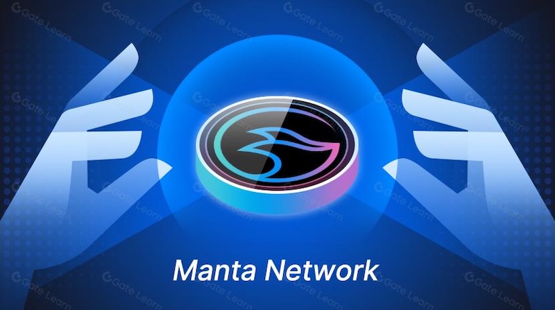 MANTA币有什么用？技术背景解读 - 创想鸟