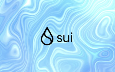 SUI币未来还有上涨空间吗？是否值得买入
