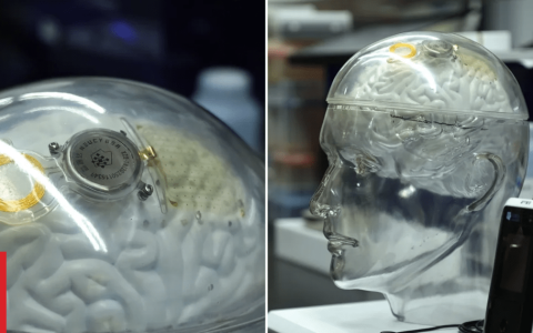 中国、脑机接口技术与Neuralink：一场通向未来的竞赛？