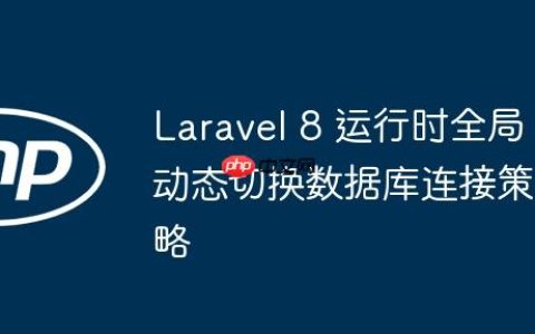 Laravel 8 运行时全局动态切换数据库连接策略