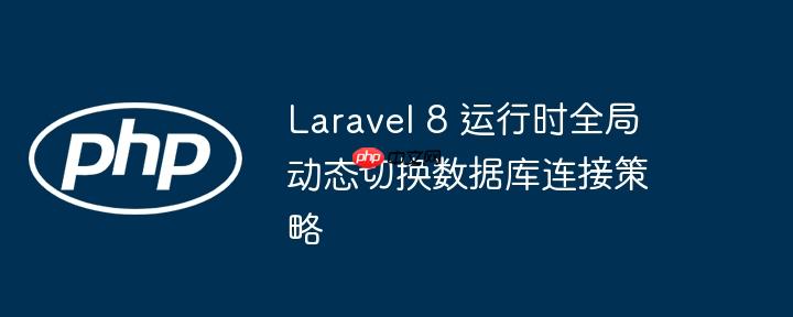 Laravel 8 运行时全局动态切换数据库连接策略