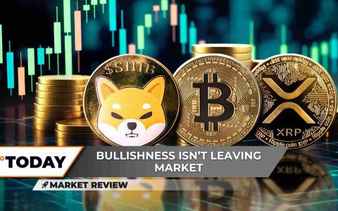 柴犬币、比特币价格、XRP前景：驾驭加密货币浪潮