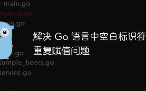 解决 Go 语言中空白标识符重复赋值问题