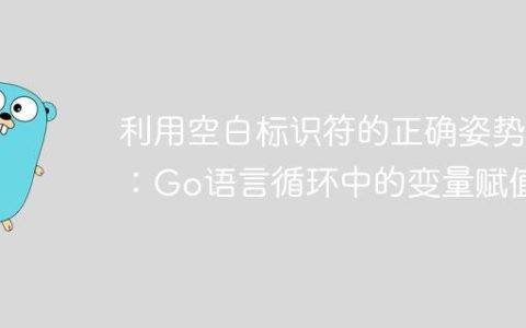 利用空白标识符的正确姿势：Go语言循环中的变量赋值