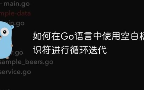 如何在Go语言中使用空白标识符进行循环迭代