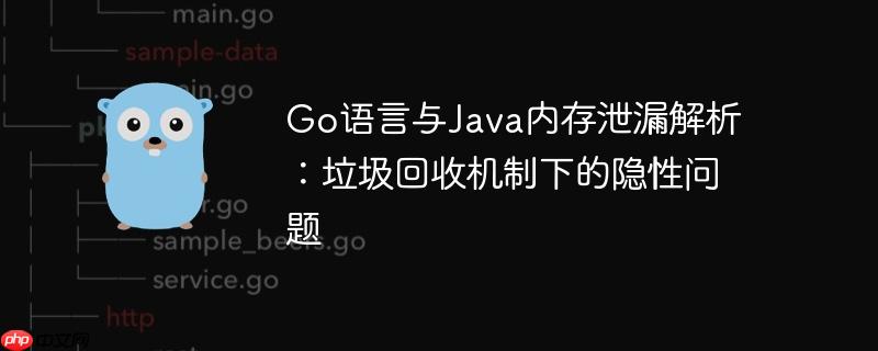 Go语言与Java内存泄漏解析：垃圾回收机制下的隐性问题