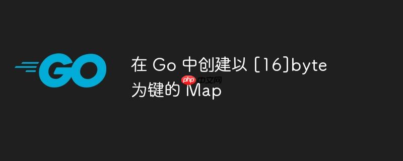 在 go 中创建以 [16]byte 为键的 map