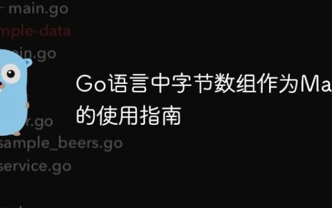 Go语言中字节数组作为Map键的使用指南