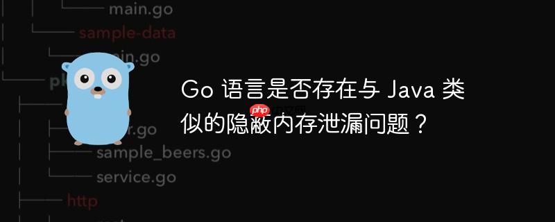 go 语言是否存在与 java 类似的隐蔽内存泄漏问题?