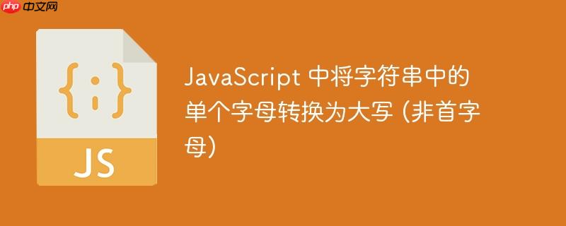 javascript 中将字符串中的单个字母转换为大写 (非首字母)