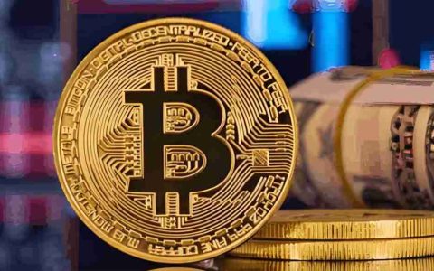 Coin教授：比特币正取代黄金作为存储资产