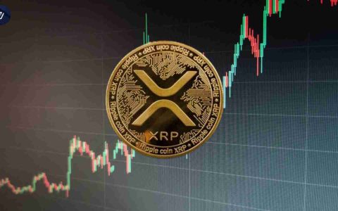 XRP价格峰值与支撑位：把握当前市场动向