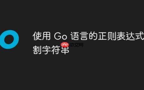 使用 Go 语言的正则表达式分割字符串
