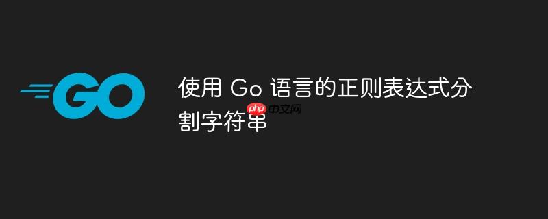 使用 go 语言的正则表达式分割字符串