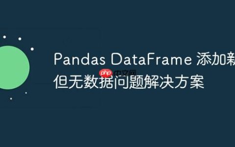 Pandas DataFrame 添加新列但无数据问题解决方案