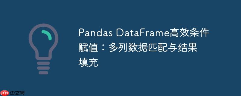 pandas dataframe高效条件赋值:多列数据匹配与结果填充