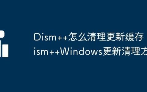 Dism++怎么清理更新缓存 Dism++Windows更新清理方法