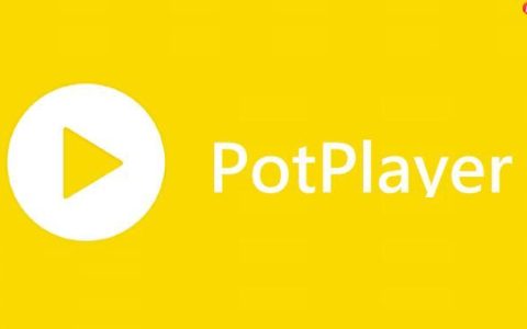 PotPlayer播放器如何设置记忆播放 PotPlayer续播功能开启教程