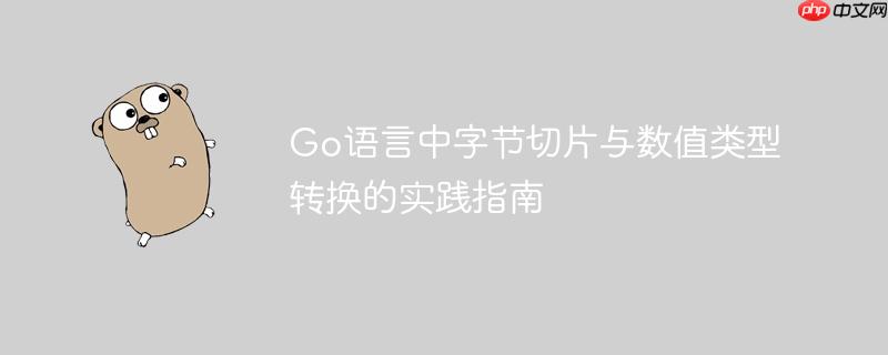 Go语言中字节切片与数值类型转换的实践指南